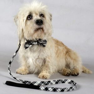 Dandie Dinmont Tartan Bow Tie