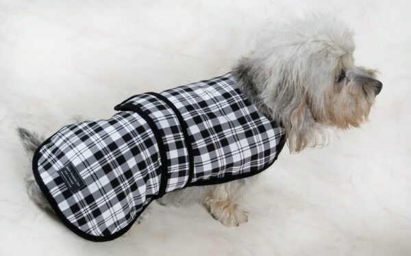 Dandie Dinmont Tartan Dog Coat - Image 3