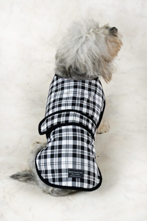 Dandie Dinmont Tartan Dog Coat - Image 4