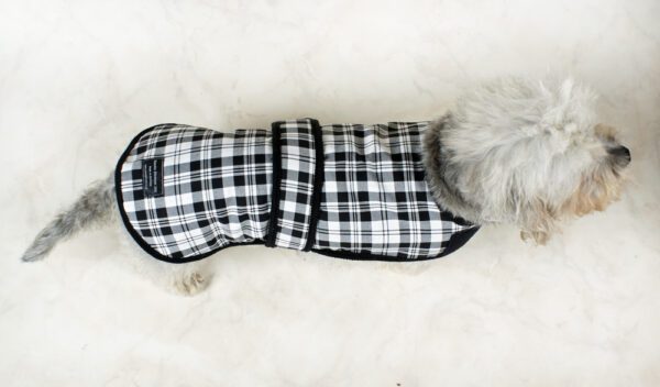 Dandie Dinmont Tartan Dog Coat - Image 2
