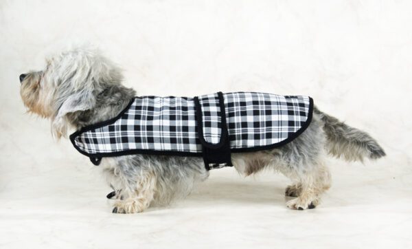 Dandie Dinmont Tartan Dog Coat - Image 5