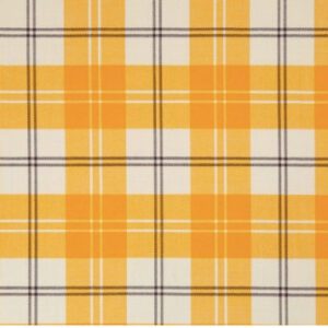 Ailsa Gold - Bruichheath Dancing Tartan