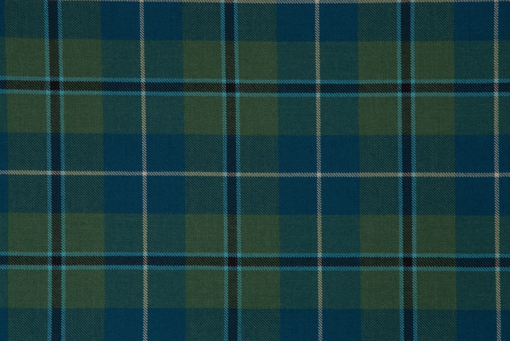Tartan Tie - Douglas Green Muted - Image 2