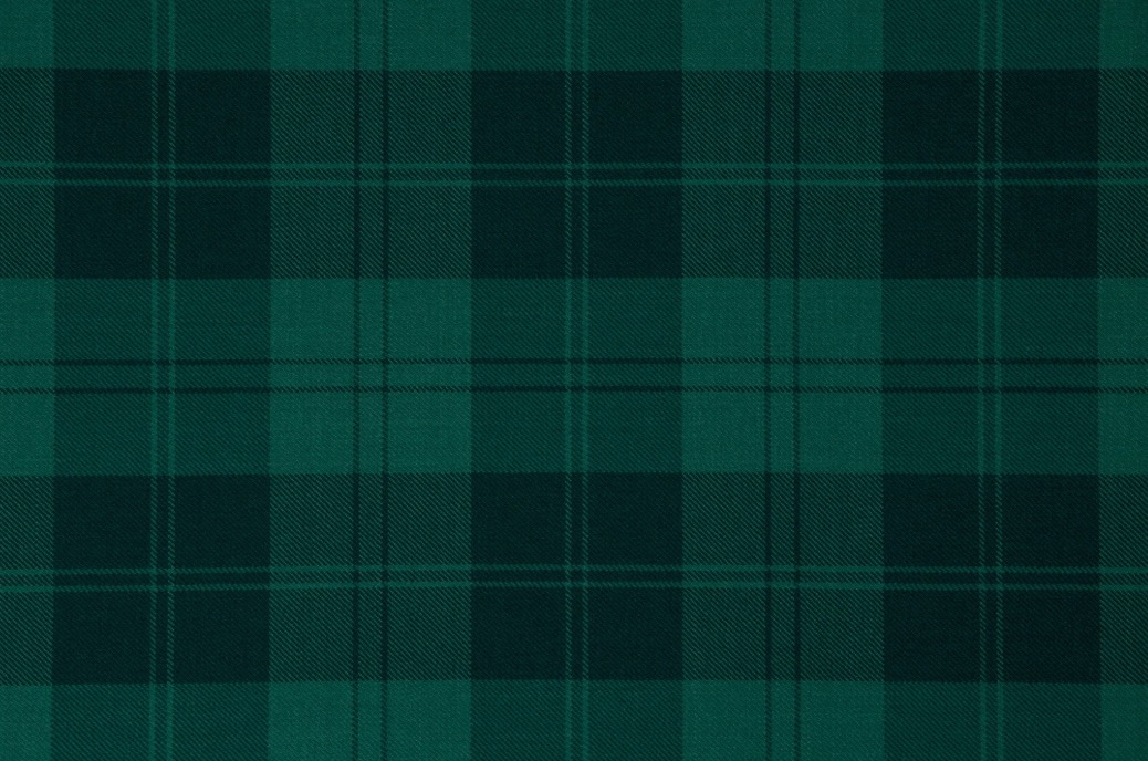 Tartan Tie - Erskine Hunting Modern - Image 2